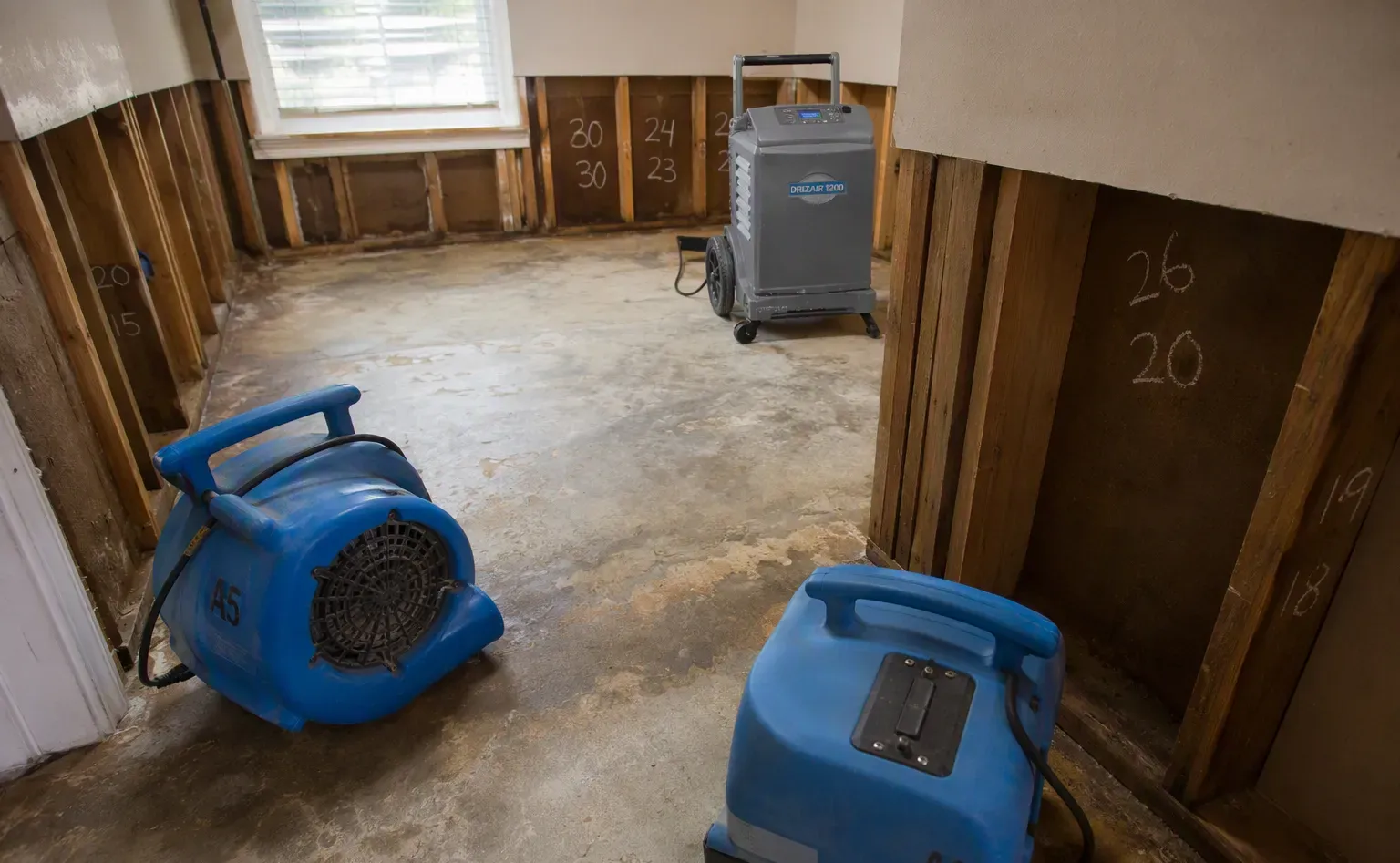 Structural drying with dehumidifiers and air movers in a Albany home